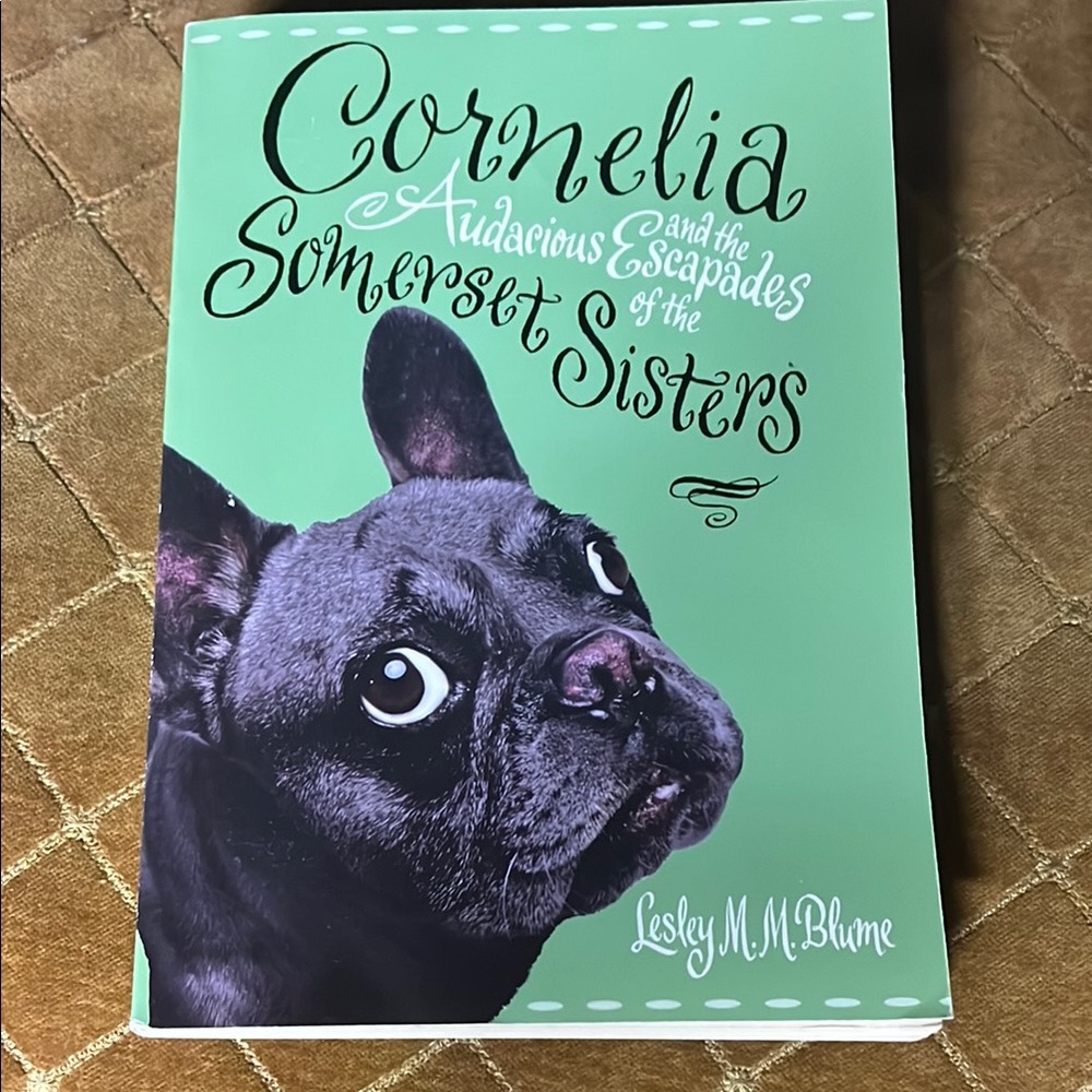 Cornelia and the Audacious Escapades of the Somerset Sisters Book